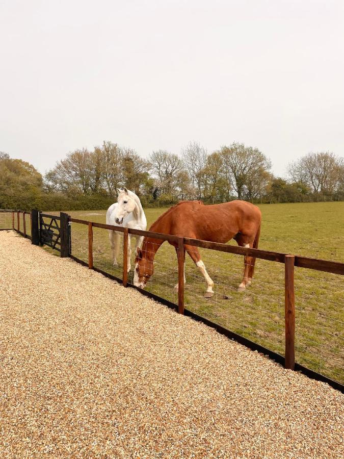 Gestingthorpe The Hayloftヴィラ エクステリア 写真