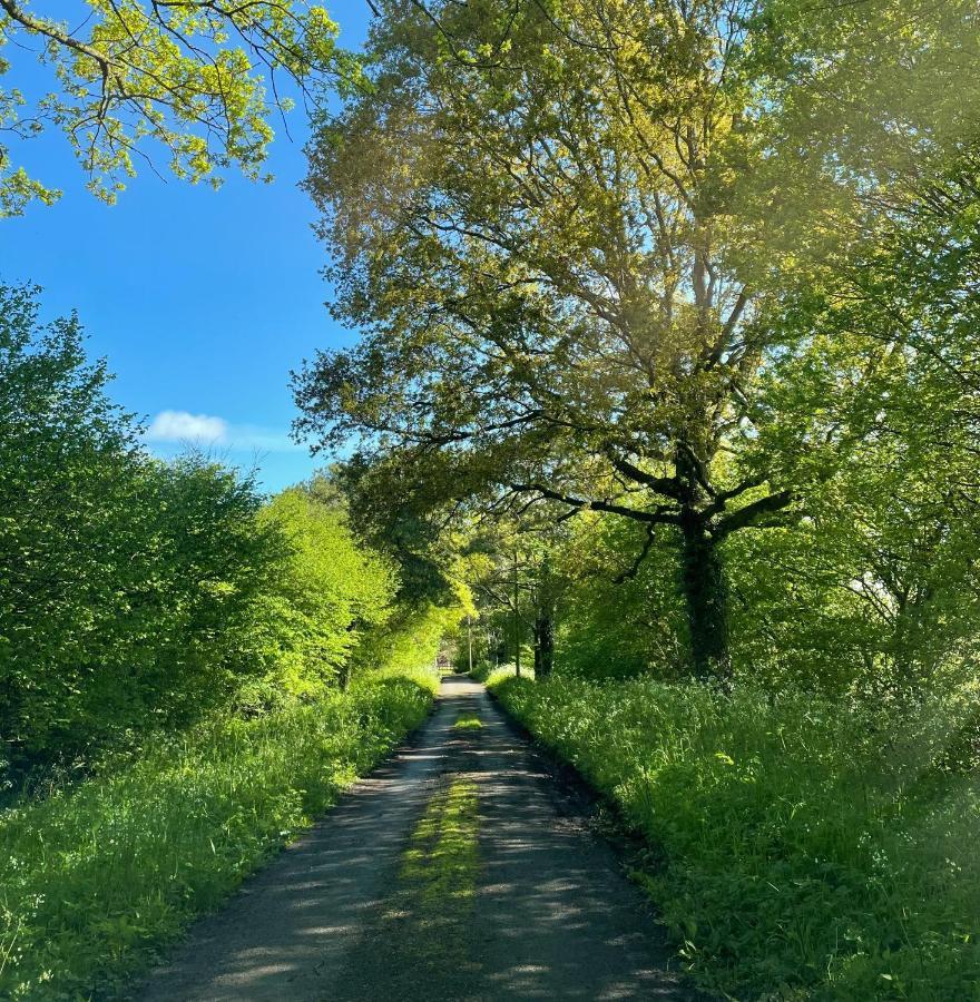 Gestingthorpe The Hayloftヴィラ エクステリア 写真